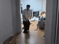 Beg Laughing GIF