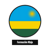 Flag Bandera Sticker by Formación Ninja