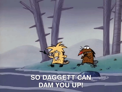 nickrewind giphydvr nicksplat angry beavers giphyab002 GIF