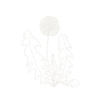 Babywearing Sticker by FridaProject