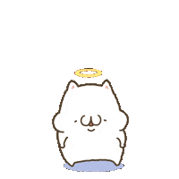 Cat Omg Sticker
