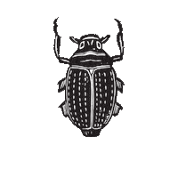woperovski beetle lino linocut kever Sticker
