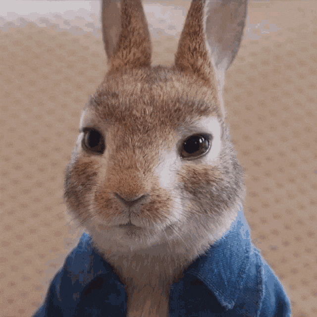 Sad Bunny GIF by Peter Rabbit Movie