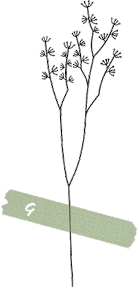 Flower Frame Sticker by omamashop