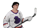 Hockey Love Sticker by Youngstown Phantoms