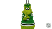 Ice Hockey Sport GIF by NHL