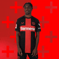 Bayer 04 Applause GIF by Bayer 04 Leverkusen