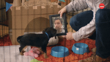 In Case You Get Lonely