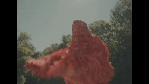 Music Video Knots GIF by Ultra Records