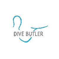Logo Dive Sticker