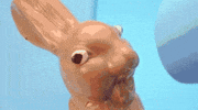 Bunny Melting GIF