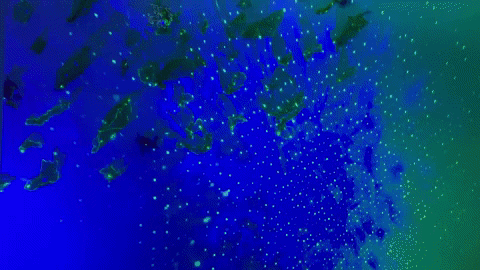 Glowing Climate Change GIF by Mollie_serena