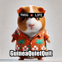 Guinea Pig Relax GIF by Guinea Gambino