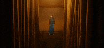 Wolf GIF by Yeah Yeah Yeahs