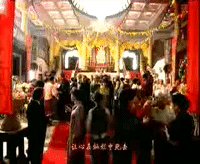 jin fei shi jia GIF
