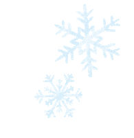Frosted Flakes Snow Sticker by Lara Paulussen