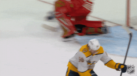 Happy Nashville Predators GIF by NHL