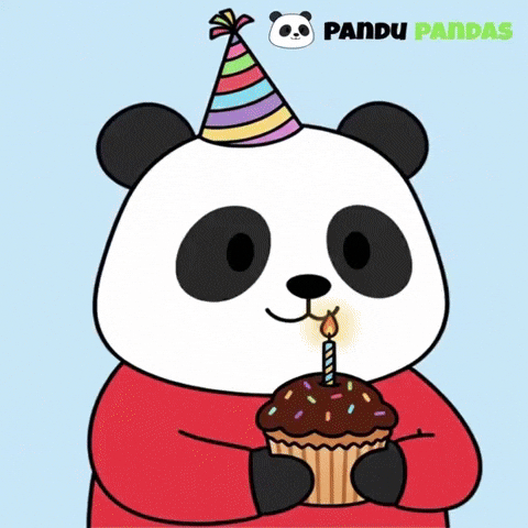 Happy Birthday Party GIF by Pandu Pandas
