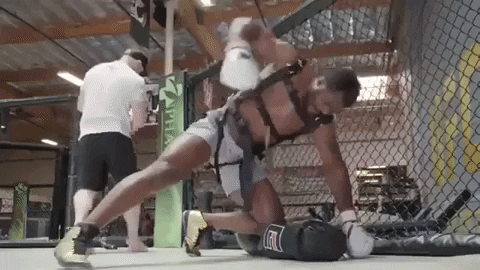 Frustrated Francis Ngannou GIF by UFC