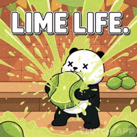 Cinco De Mayo Panda GIF by Kanpai Pandas