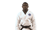 Martial Arts Fun Sticker by Paris Saint-Germain Judo