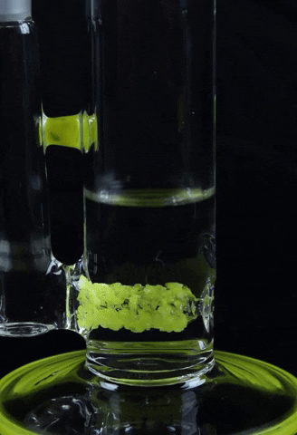 smokecartelonline water pipe online headshop smokecartel envy glass GIF