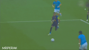 Brazil Sliding GIF