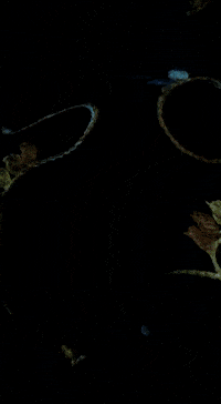 Mduggal way to go almost there michael duggal michaelduggal almost there GIF