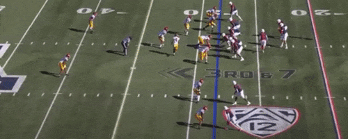 nfalato11 giphyupload GIF