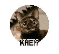 Khe Sticker by Rubicat