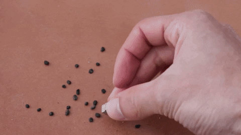 tujardindesdecero giphygifmaker iman grava GIF