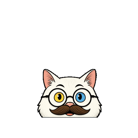 Happy Cat Sticker by vankedisi