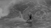 oysurfapparel wave ocean surf oy GIF