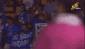 Thom Haye Viking GIF
