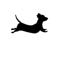 Dogs Instadog Sticker by Villa Sabberlatz