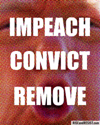 Impeach Trump GIF by RiseandResist.org