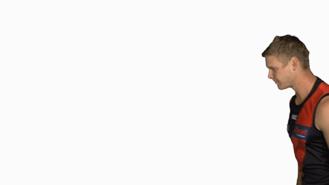 essendonfc giphyupload dons bombers essendon GIF