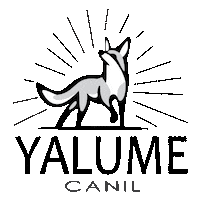 canilyalume dog cachorro border laika Sticker