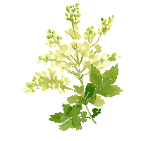 Flower Sticker by compo