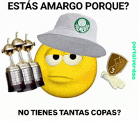 Libertadores GIF