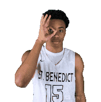 The Nest Goeagles Sticker by SBA Eagles Athletics