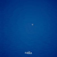 GIF by FORSUA