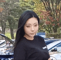 Model GIF
