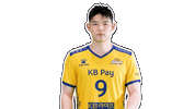 Kb스타즈 Sticker by KB STARS VOLLEYBALL CLUB