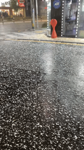 lws922 giphyupload GIF