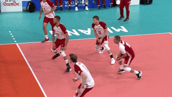 Get Ready Pass GIF by Volleyball World