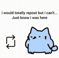 Spainnubcat GIF