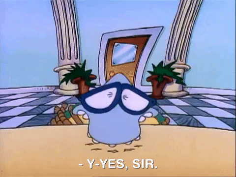rockos modern life nicksplat GIF