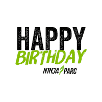 Ninjawarriorau Sticker by Ninja Parc