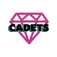 Cheerleading Cadets Sticker by CA Flyers
